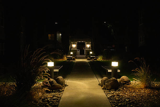The Art of Lighting Your Landscape