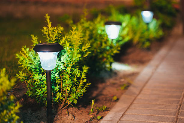 Outdoor solar lights will still work during a power outage.