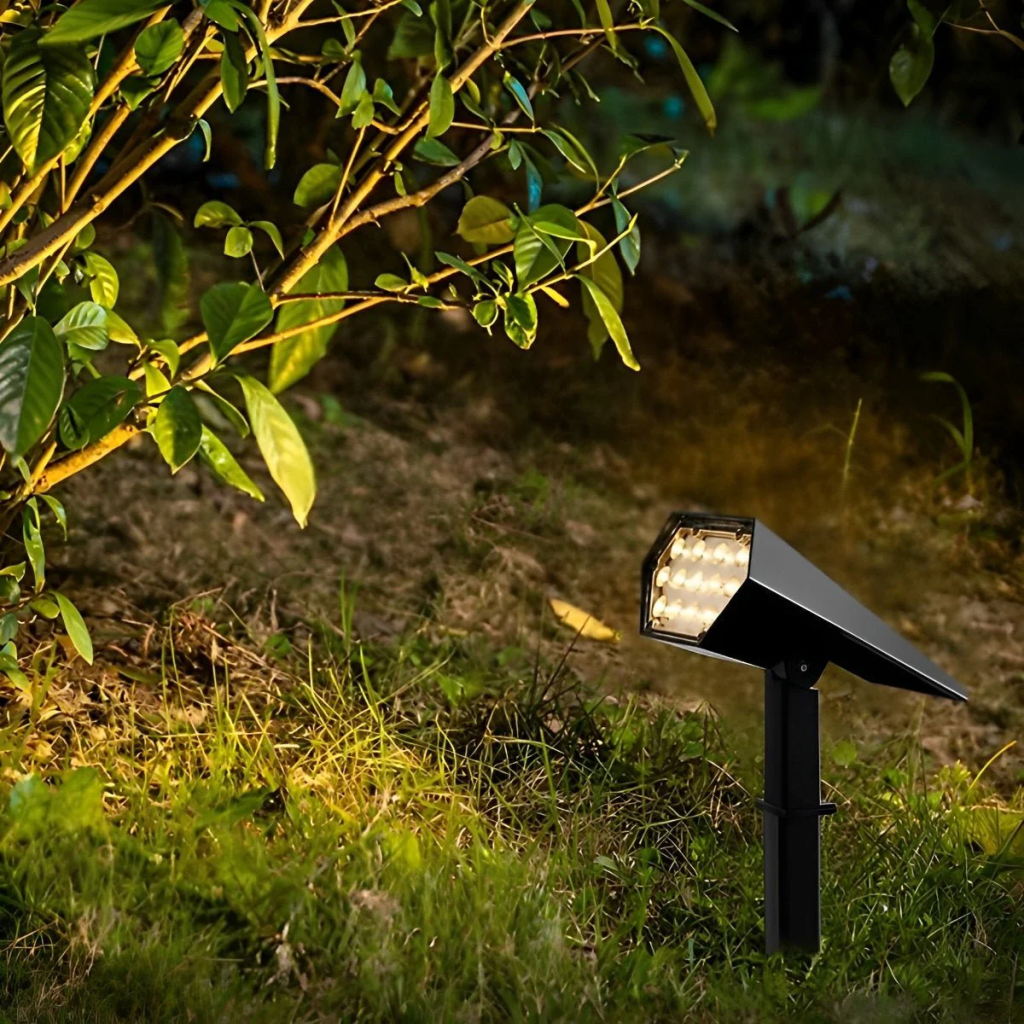 Outdoor solar lights can illuminate garden plants.
