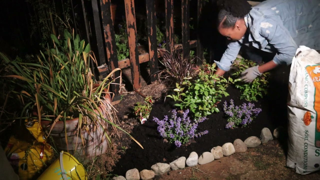 Nighttime gardening