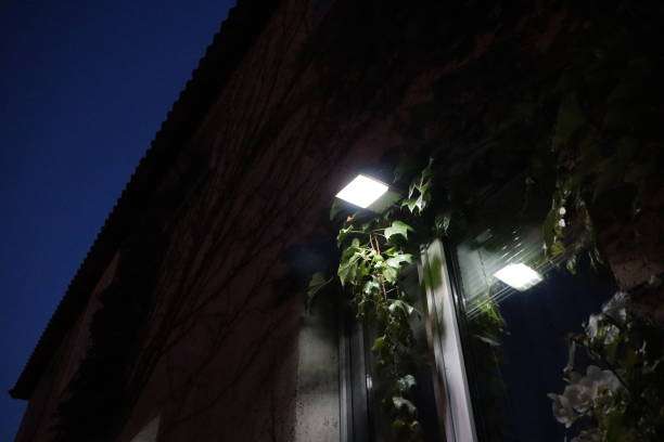 Contemporary square wall light brightens a building facade with ivy at night.