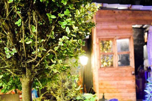 Green foliage framing a rustic wooden cabin with a charming illuminated wall light.