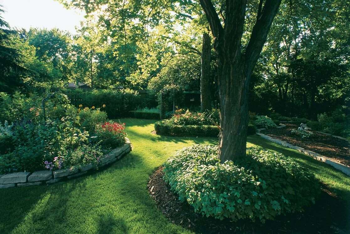 Lush green garden with outdoor solar light landscaping.