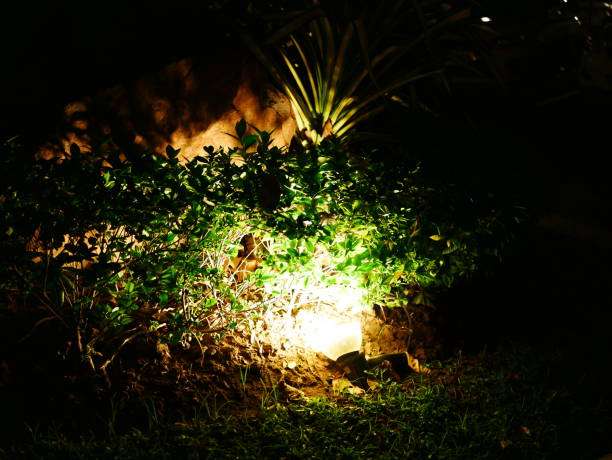 Outdoor solar light illuminating lush green bushes at night.