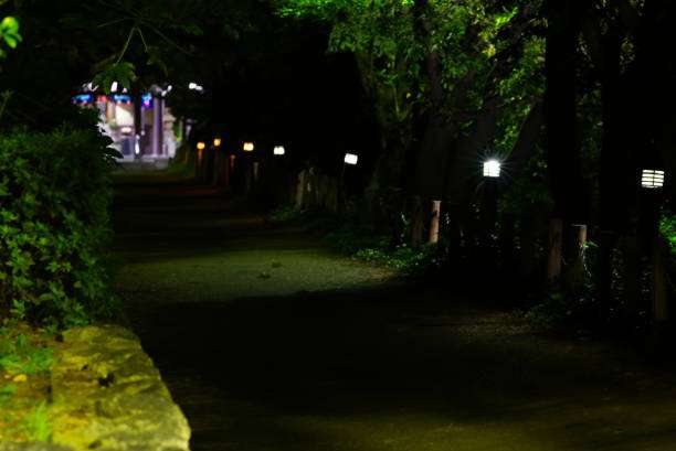 Dark pathway illuminated by outdoor solar lights at night.